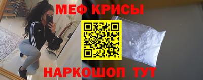 индика Гатчина