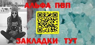 индика Гатчина