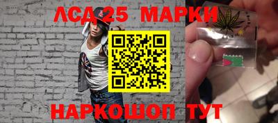 индика Гатчина