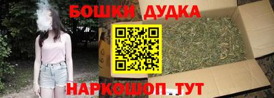 индика Гатчина