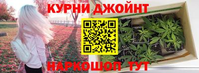 индика Гатчина