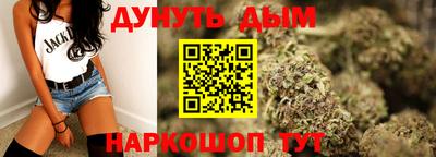 индика Гатчина
