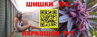 индика Гатчина