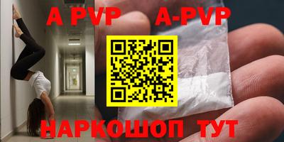 индика Гатчина