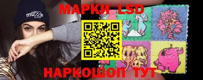 индика Гатчина