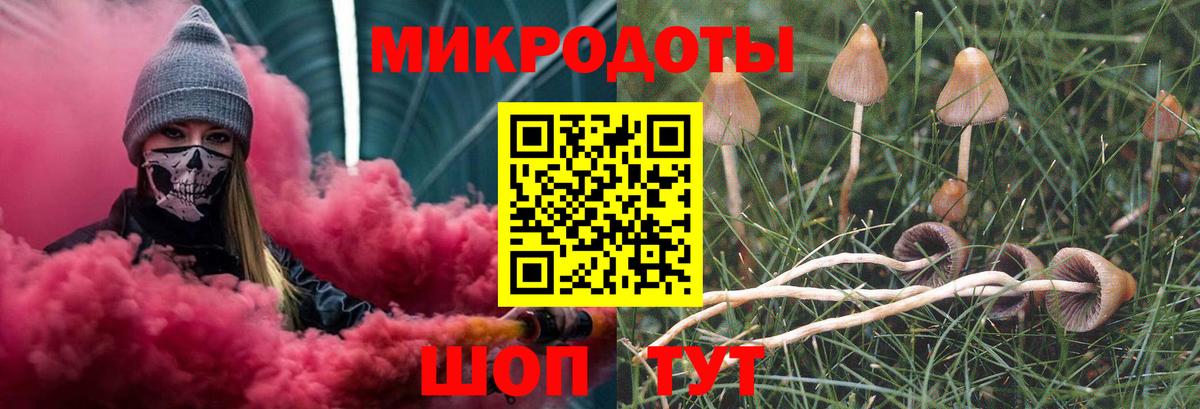 Галлюциногенные грибы Psilocybine cubensis  Вход с VPN  Галлюциногенные грибы MAGIC MUSHROOMS  Назрань 
